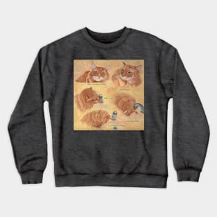 Orange Cat and Water Faucet Crewneck Sweatshirt